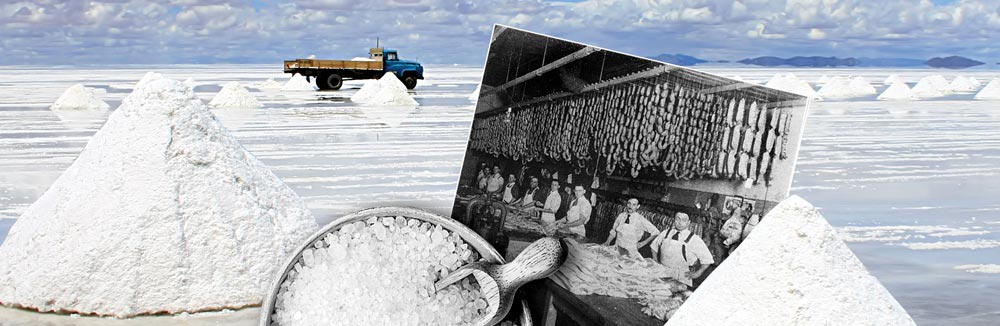 chimoo-bodysalt-history-salt-image BodySalt History of Salt